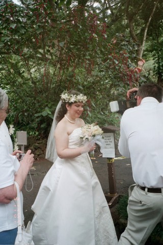 Butterfly on Bouquet